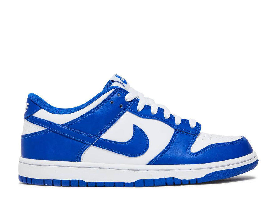 Kids Nike Dunk Low 